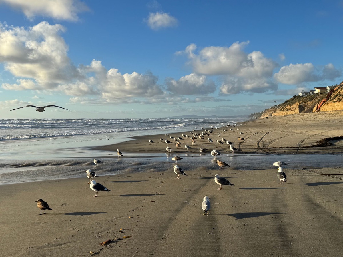 Senior care in Encinitas, CA