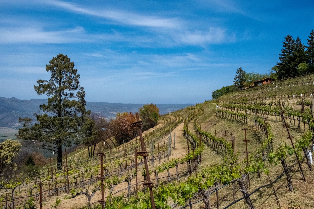 Senior care in Escondido, CA